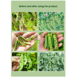 Organic Fertilizer Supplier - Liquid Lignase Enzyme Seaweed