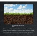 Rooting Agent Supplier - Seedling Strengthening Agent