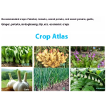 Rooting Agent Factory - Suspension-Type Rooting