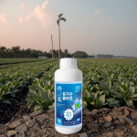 Organic Fertilizer Factory - Seaweed Granular Rooting Agent