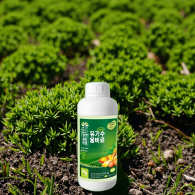 Organic Fertilizer Manufacturer - Pod Yield-Increasing Special