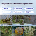 Organic Fertilizer Supplier - High Nitrogen Fruit Trees