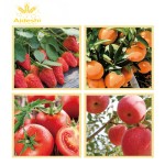 Shrimp Fertilizer Supplier - Peptide Plasma Liquid State