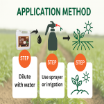 Humic Acid Fertilizer Manufacturer - Nematode Egg Control