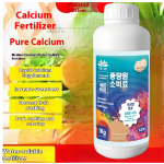 Rooting Agent Factory - Vaccine-Type Anti-Root Rot