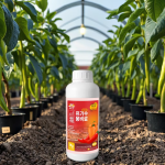 Water-Soluble Fertilizer Factory - Chili Pepper Rooting Yield