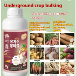 Root Crop Fertilizer Supplier - Water-Soluble Growth Control