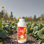 Water-Soluble Fertilizer Manufacturer - Seaweed Slow Release