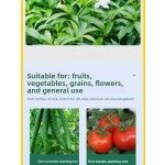 Boron Fertilizer Supplier - Liquid Eco-Friendly NPK