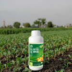 Organic Fertilizer Manufacturer - Pod Yield-Increasing Special