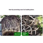 Seaweed Fertilizer Factory - Alginic Acid Anti-Drop