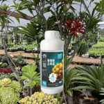 Potassium Fertilizer Supplier - Phosphogluconate Growth Control