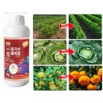 Vegetable Fertilizer Factory - Chili Bean Eggplant Expanding