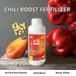 Water-Soluble Fertilizer Factory - Chili Pepper Rooting Yield
