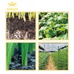 Organic Fertilizer Manufacturer - Wood Acid Eco-Friendly