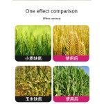 Organic Fertilizer Factory - Corn Grain Specialized