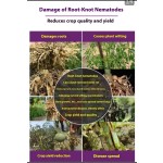 Organic Fertilizer Factory - Wood Acid Compost Powder