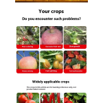 Water-Soluble Fertilizer Manufacturer - Seaweed Slow Release