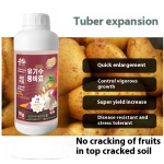 Root Crop Fertilizer Supplier - Water-Soluble Growth Control
