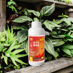 Water-Soluble Fertilizer Factory - Chili Pepper Rooting Yield