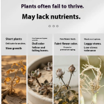 Shrimp Fertilizer Manufacturer - Peptide Plasma Protein