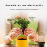 Seaweed Fertilizer Factory - Alginic Acid Chlorophyll Spray