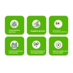 Rooting Agent Supplier - Seedling Strengthening Agent