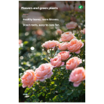 Rooting Agent Supplier - Seedling Strengthening Organic