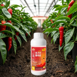 Water-Soluble Fertilizer Factory - Chili Pepper Rooting Yield