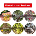 Biostimulant Manufacturer - Amino Acid Fruit Expansion