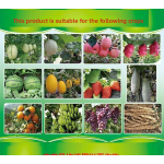 Nitrogen Fertilizer Factory - Liquid 4-in-1 Marine Extract