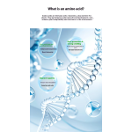 Bacterial Fertilizer Supplier - Lignase Enzyme Granular