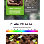 Seaweed Fertilizer Factory - Alginic Acid Chlorophyll Spray