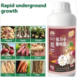 Root Crop Fertilizer Supplier - Water-Soluble Growth Control