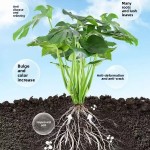 Organic Fertilizer Manufacturer - Pod Yield-Increasing Special