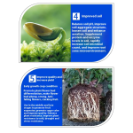 Organic Fertilizer Manufacturer - Wood Acid Compost Powder