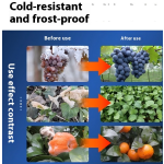 Organic Fertilizer Supplier - High Nitrogen Fruit Trees