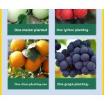 Antifreeze Fertilizer Manufacturer - Liquid Cold-Resistant Crop