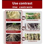 Organic Fertilizer Factory - Wood Acid Compost Powder