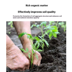 Bacterial Fertilizer Supplier - Lignase Enzyme Granular