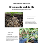 Seaweed Fertilizer Factory - Granular Rooting Seedling