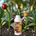 Seaweed Fertilizer Manufacturer - Microbial Slow Release Eco