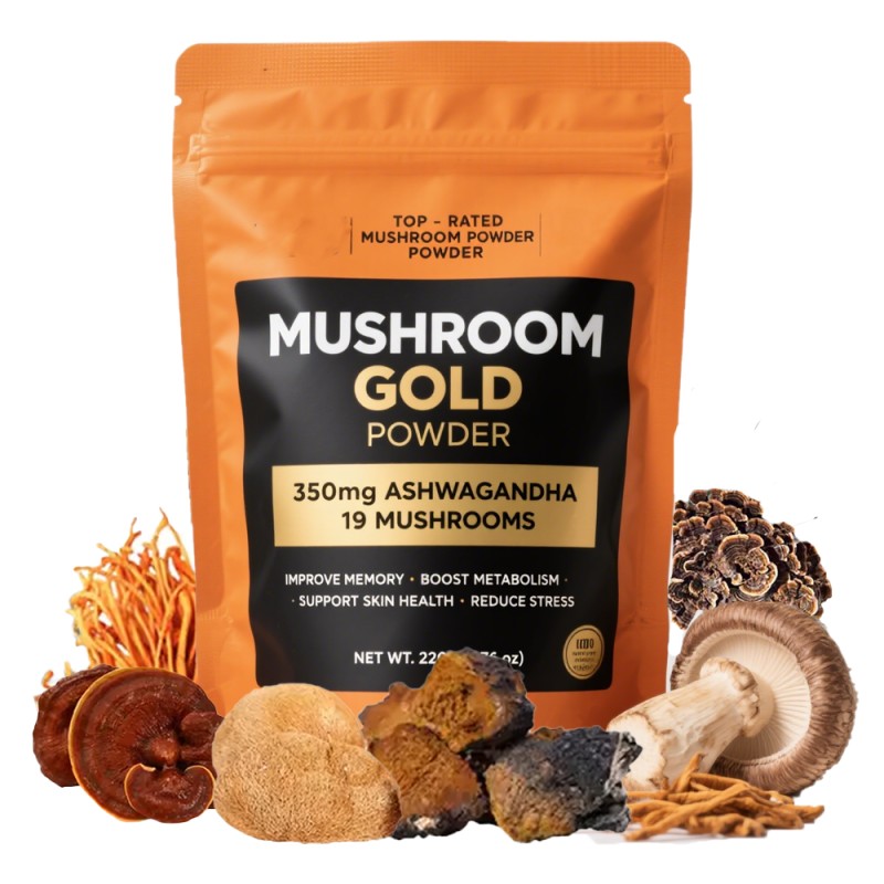 Private Label 10 in 1 Organic Tremella Chaga Reishi Lions Mane Supplement All in One Mushroom Powder