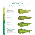 QINSHANTANG Wholesale Private Label Pure Organic Matcha Green Tea Powder Mushroom Matcha Tea Latte