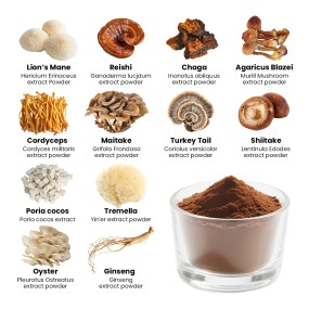 Qinshantang Nootropic Dual Extracted Lion's Mane Cordyceps Mushroom Complex for Brain Health Focus Memory