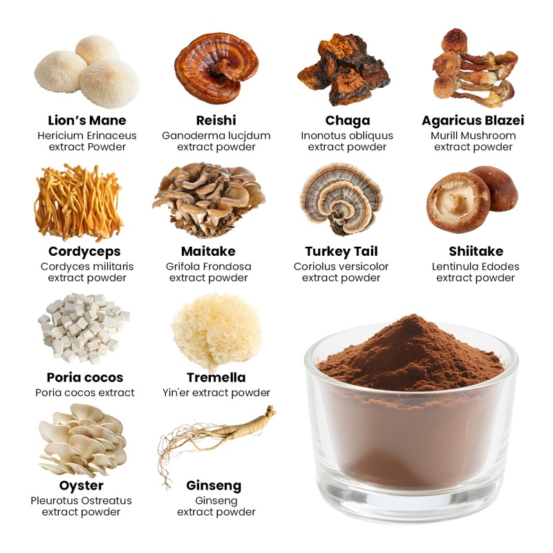 Qinshantang Nootropic Dual Extracted Lion's Mane Cordyceps Mushroom Complex for Brain Health Focus Memory