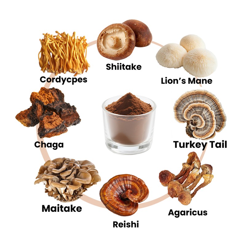 OEM Custom Private Label Cordyceps Lion's Mane Chaga 5/7/12 Mushroom Mix Powder Blend for Natural Energy