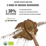 OEM Custom Private Label Cordyceps Lion's Mane Chaga 5/7/12 Mushroom Mix Powder Blend for Natural Energy