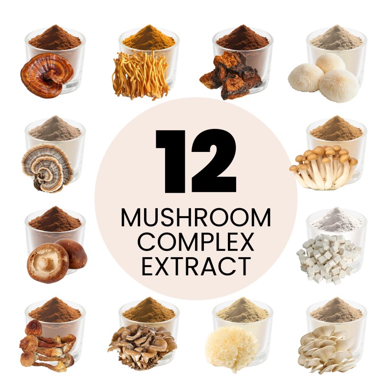 Qinshantang Dual Extracted Lion's Mane Cordyceps 40% Polysaccharides Mushroom Powder for Brain Focus Energy