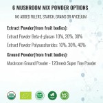 OEM Custom Private Label Cordyceps Lion's Mane Chaga 5/7/12 Mushroom Mix Powder Blend for Natural Energy